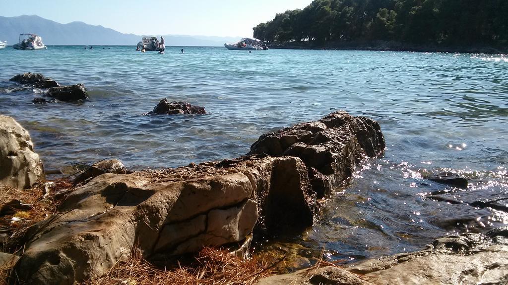 Holiday House Popovic Sućuraj المظهر الخارجي الصورة